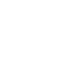 FacioLogo